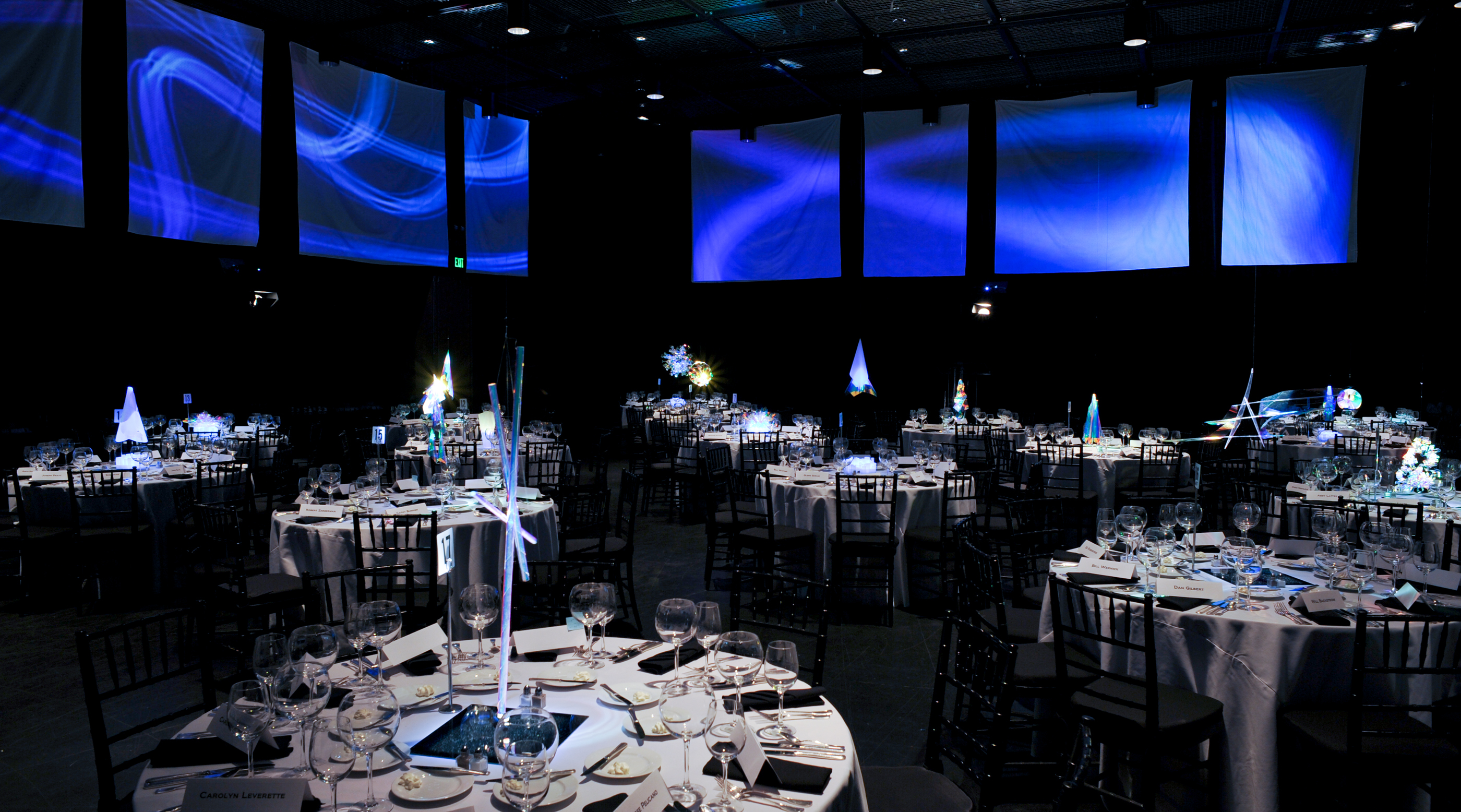 LightingDonorDinner (080)